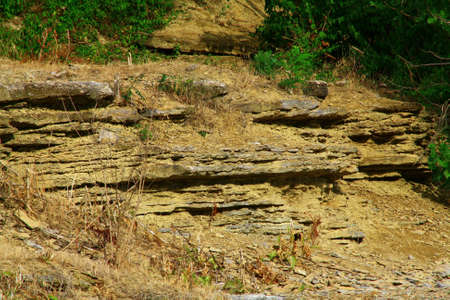 Fossil Park Ohioの写真素材