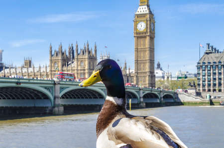 London Sightseeing on a beautiful day