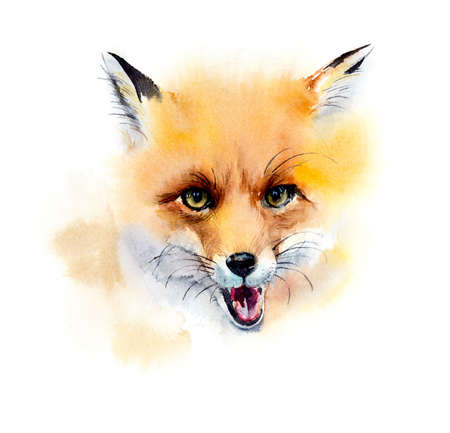 Red fox. Portrait. Watercolor hand drawn illustrationの写真素材