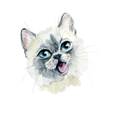 Kitten. Watercolor hand drawn illustrationの写真素材