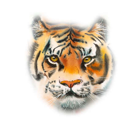 Portrait Tiger. Decoration with wildlife scene. Pattern from forest inhabitant. Watercolor hand drawn illustration.の写真素材