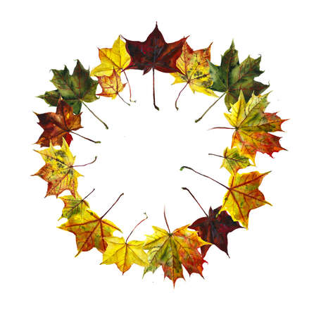 Circle frame from fallen leaves. Autumn collection. Watercolor hand drawing illustration