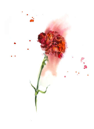 Pattern from red carnation. Watercolor painting. Greeting cards. Flower backdrop.の写真素材