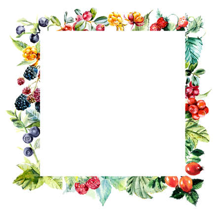 Frame from berries.  hand drawn illustrationの写真素材