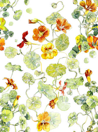Flowers nasturtium. Seamless pattern. Watercolor hand drawn illustrationの写真素材