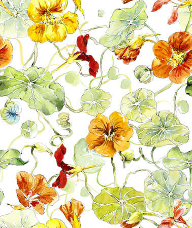 Flowers nasturtium. Seamless pattern. Watercolor hand drawn illustrationの写真素材