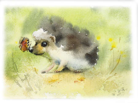 Hedgehog. Watercolor hand drawn illustration.の写真素材