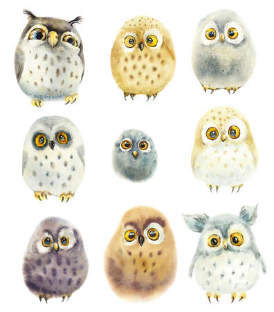 Funny Fluffy Watercolor Owls. hand drawn illustrationの写真素材