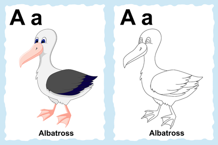 alphabet coloring book page with outline clip art to color. Letter A. Albatross.のイラスト素材