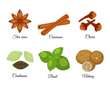 Set of different spices star anise, cinnamon, cloves, cardamon, basil, nutmeg vector illustration isolated on white background.のイラスト素材