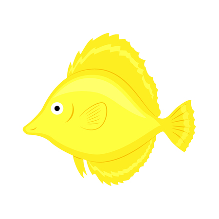 Yellow coral fish illustration isolated on white background.のイラスト素材