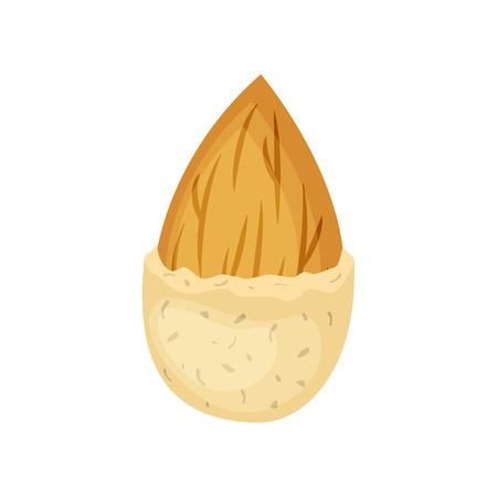 Almond nut in a nutshell vector illustration isolated on white background.のイラスト素材