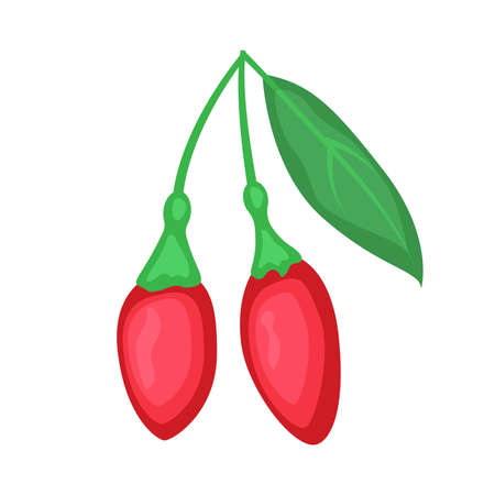 Superfood detox goji berries branch. Red berry  illustration isolated on white background.のイラスト素材