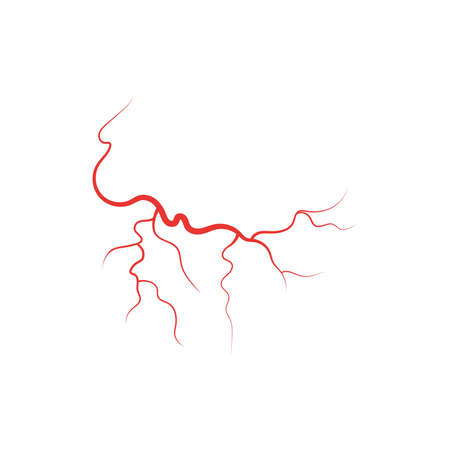 Human veins red blood vessel vector illustration isolated on white background.のイラスト素材