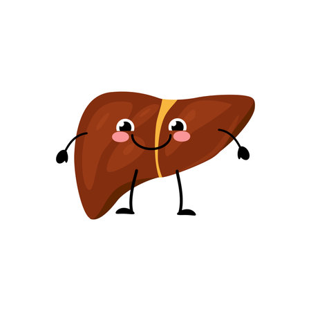 Happy smiling cute liver organ character in a flat cartoon style. Vector kawaii illustration isolated on white backgroundのイラスト素材