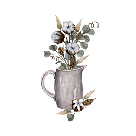 Vase with cotton flowers and eucalyptus leaves. watercolor illustrationの写真素材