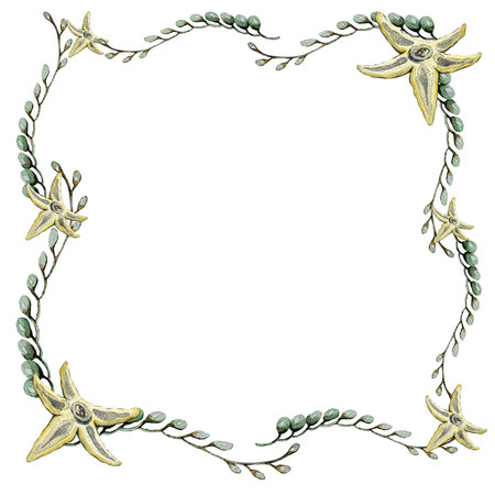 beautiful elegant green algae frame and sea starsの写真素材