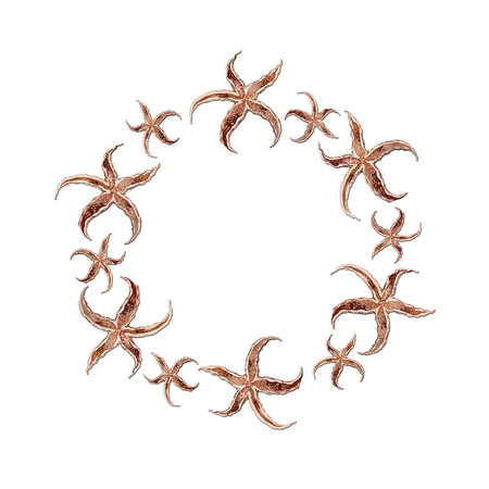 wreath of large and small starfishの写真素材
