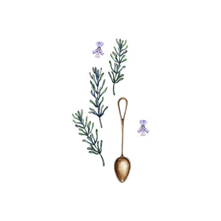 composition of rosemary and spoonの写真素材