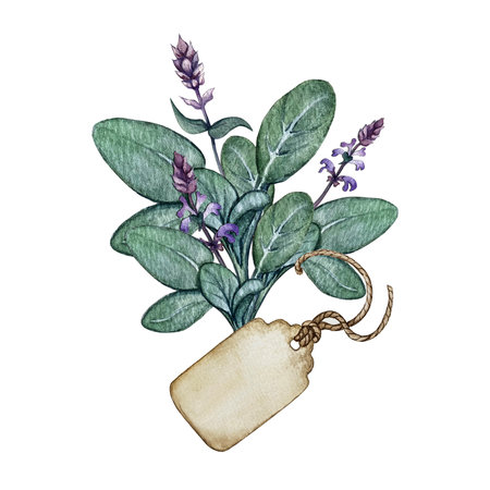 composition of sage and tagの写真素材