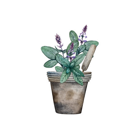 composition of sage, flower pot and tagの写真素材