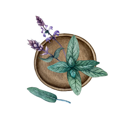 composition of sage and plateの写真素材