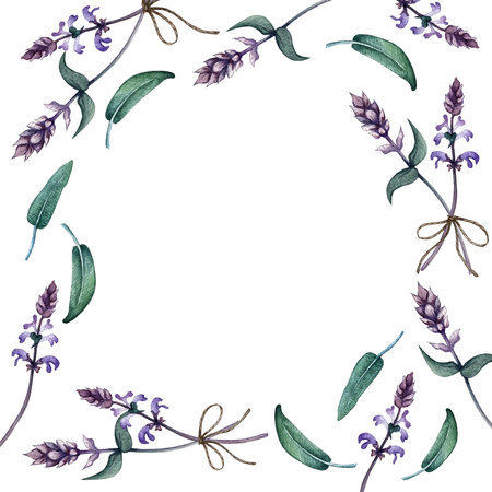 eco frame of sage leaves and sage flowersの写真素材