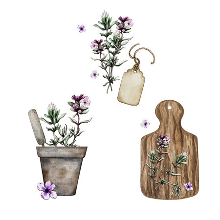 compositions of thyme, flower pot, tag, cutting boardの写真素材