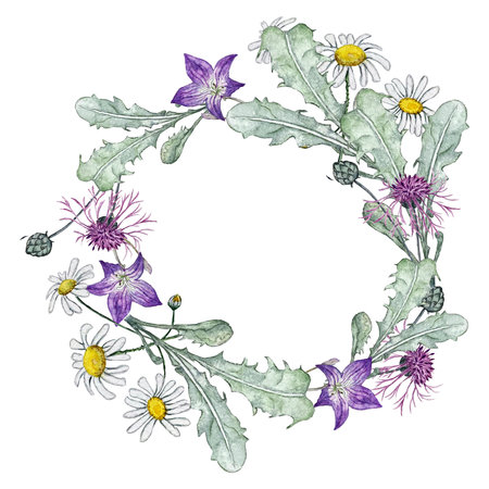 Summer wreath of wild flowers. Bluebell flower, cornflower, chamomile and dandelion leaves. Watercolor illustrationsの写真素材