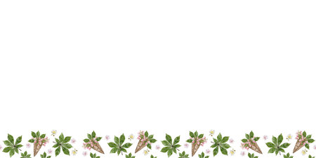 Border of leaves, flowers and fruits of chestnut. Watercolor illustrationの写真素材