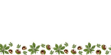 Border of leaves and fruits of chestnut. Watercolor illustrationの写真素材