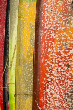 Texture of surfboards, covered in paraffin, stored waiting for a surfer on the beach of Canggu, south of Bali, Indonesia, on a hot August day.の写真素材