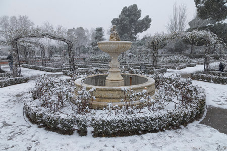 Madrid, Spain - January 07, 2021: General view of an area of the Rosaleda, with a frozen fountain, in the Buen Retiro park in Madrid, in the middle of a snowy day, due to a wave of polar cold.のeditorial素材