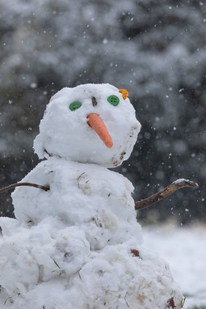 Madrid, Spain - January 08, 2021: Snowmen made by some kids, in the Buen Retiro park in Madrid, in the middle of a snowy day, due to a wave of polar cold.の写真素材