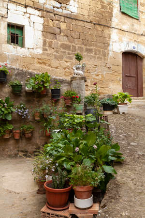 Charming corner full of pots with plants, hydrangeas, rose bushes, calla lilies, geraniums and other flowers in one of the streets of the town of Uncastillo, in the Cinco Villas region, Spain.のeditorial素材