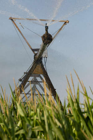 Gallur, Spain - July 27, 2020: Irrigation pivot, with water or chemigation, fed by pipeline, example of agricultural machinery and agro-industrial infrastructures in crop fields in Aragon.のeditorial素材
