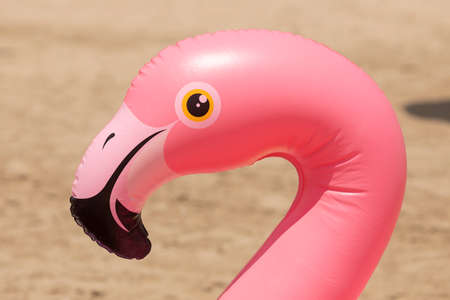 A nice plastic float for children, shaped like a pink flamingo, lies near the shore, on the beach of Torrenostra, Mediterranean Sea, Castellon province, Spain.の写真素材