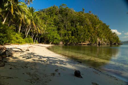 Landscape of tropical forest and tall coconut palms at sunset, Barracuda Beach, Pulau Kadidi Island,...
