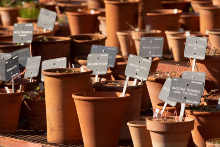 Piles of orange colored clay pots in a nursery of a botanical garden, in autumn, Madrid
