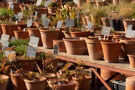Piles of orange colored clay pots in a nursery of a botanical garden, in autumn, Madridの写真素材