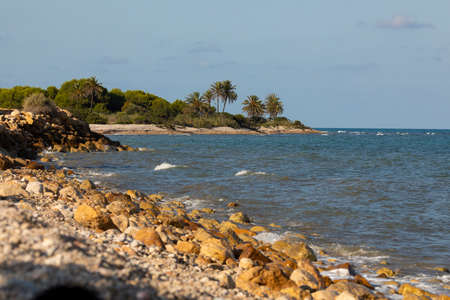 The lonely and warm beach of Capicorb, Castellon, Spain, offers a landscape of palm trees and unusual vegetation on the Mediterranean coastの写真素材