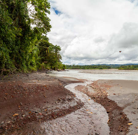 Impressive landscape of trees and the Amazon rainforest, on the banks of the Madre de Dios River, in the Manu National Parkの写真素材
