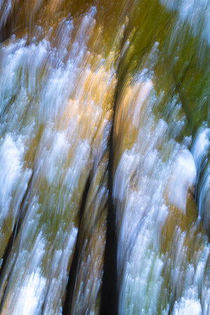 Defocused abstract texture of a beech forest in autumn, on the slopes of the Moncayo mountain, in Aragon, Spainの写真素材