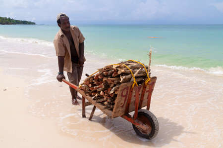 Cartagena de Indias, Colombia - Nov 22, 2010: A man transports and sells wooden logs and firewood, on the beach of Isla Baru, in the Colombian Caribbeanのeditorial素材
