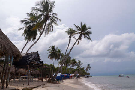 Cartagena de Indias, Colombia - Nov 22, 2010: Landscape of palm trees, chairs and half-empty bungalows on one of the beaches of Isla Baru, on a stormy day, in the Colombian Caribbeanのeditorial素材