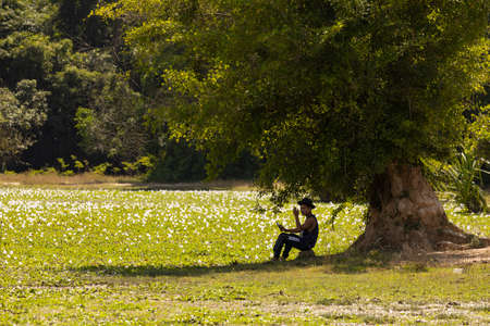 Angkor, Cambodia - Nov 24, 2019: A young man, of Asian race, rests under the shade of a tree, at Angkor Wat, Angkor Archaeological Park, near Siem Reapのeditorial素材