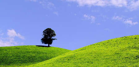 Lonerの写真素材