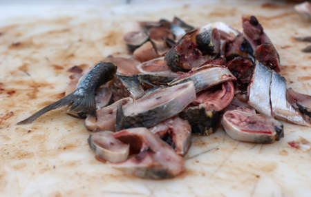 Small fish cut into pieces on white boardの写真素材