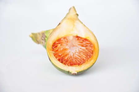 Arecanut palm on white backgroundの写真素材