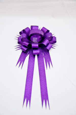 Violet bow on white background